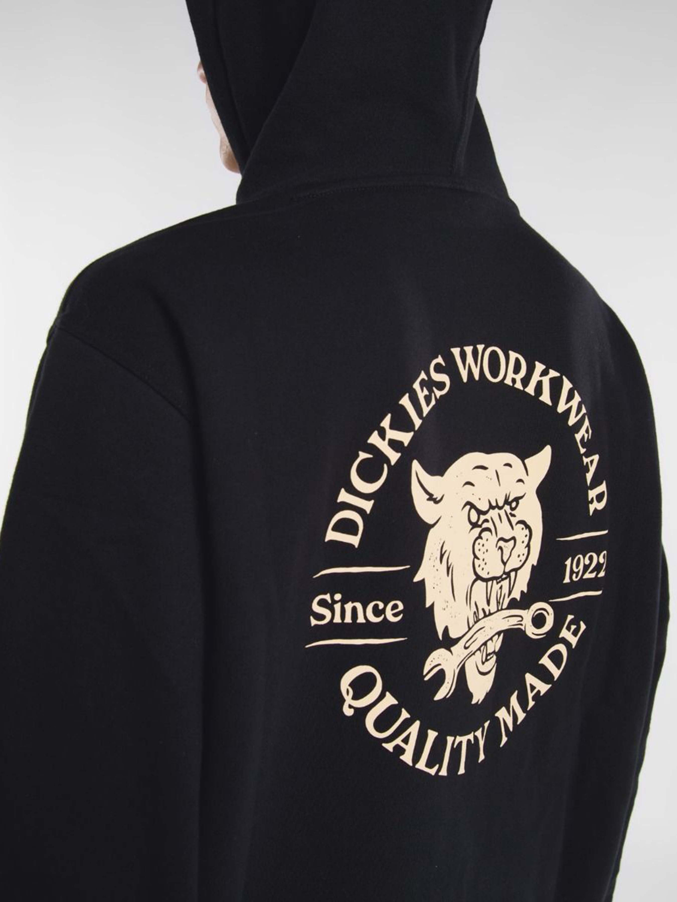 Худи Dickies Wrench модель DK0A8681BLK1 Фото