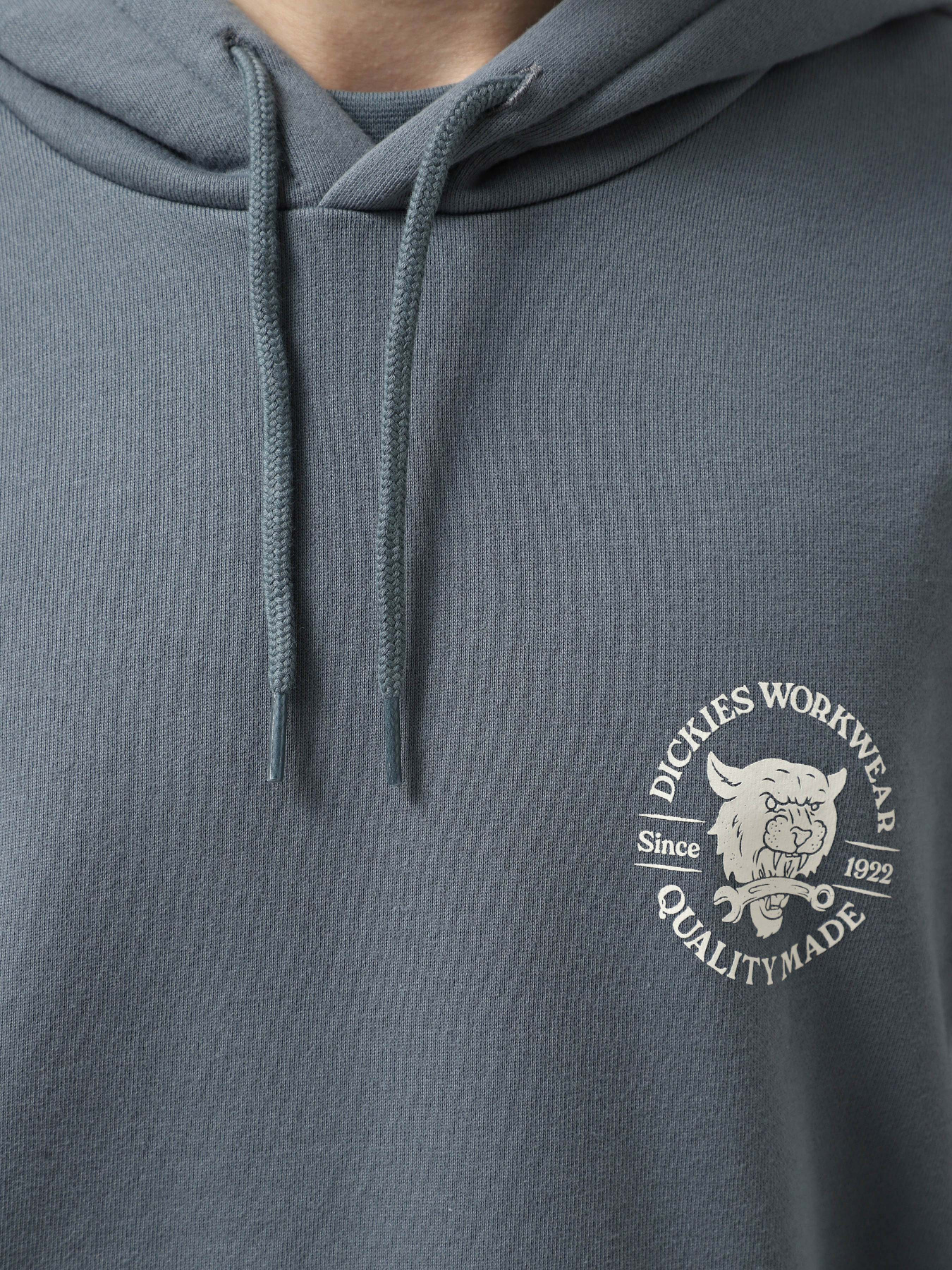 Худі Dickies Wrench модель DK0A8681G701 Худі Dickies Wrench модель DK0A8681G701 Фото