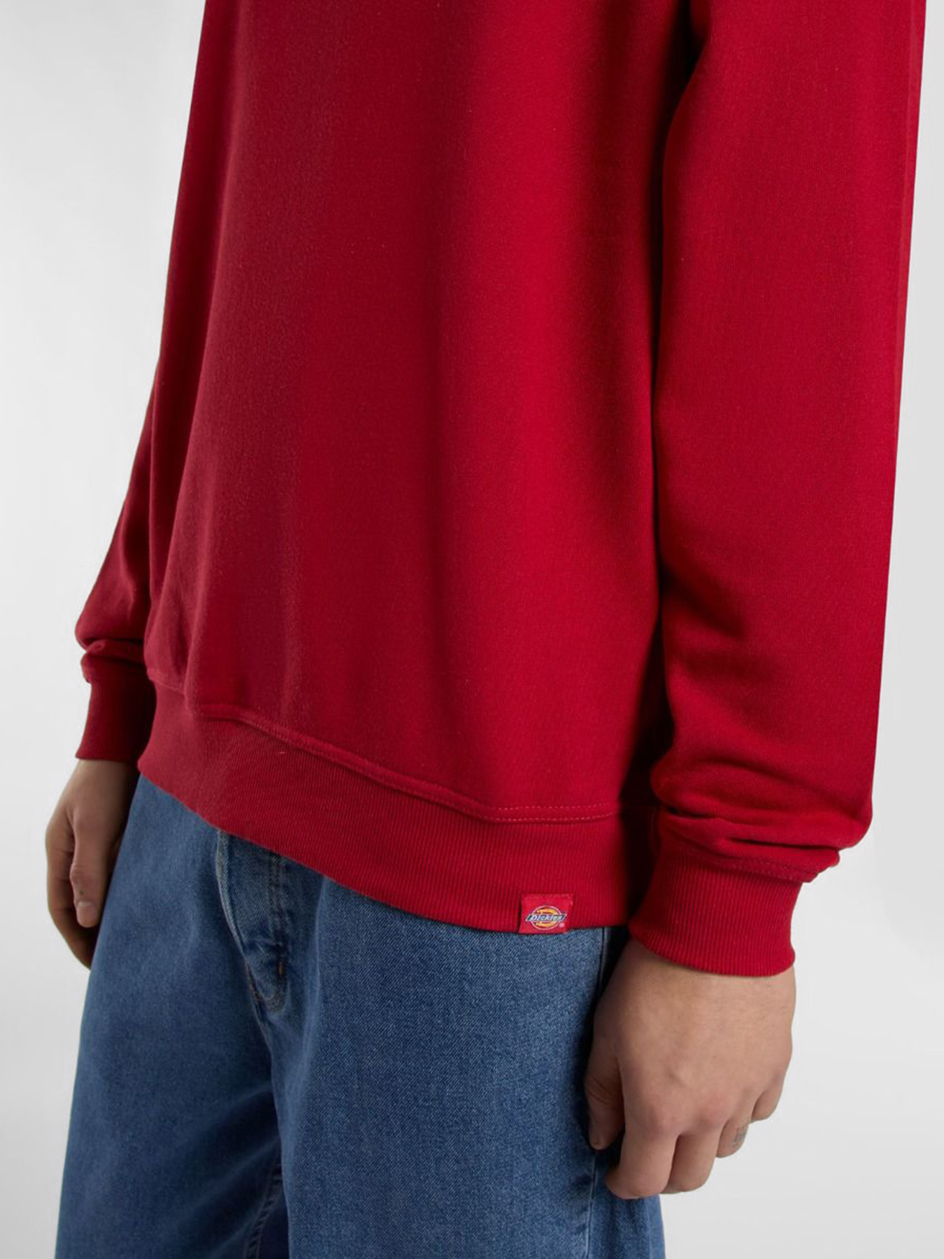 Свитшот Dickies Lewistown модель DK0A86820ER1 Фото