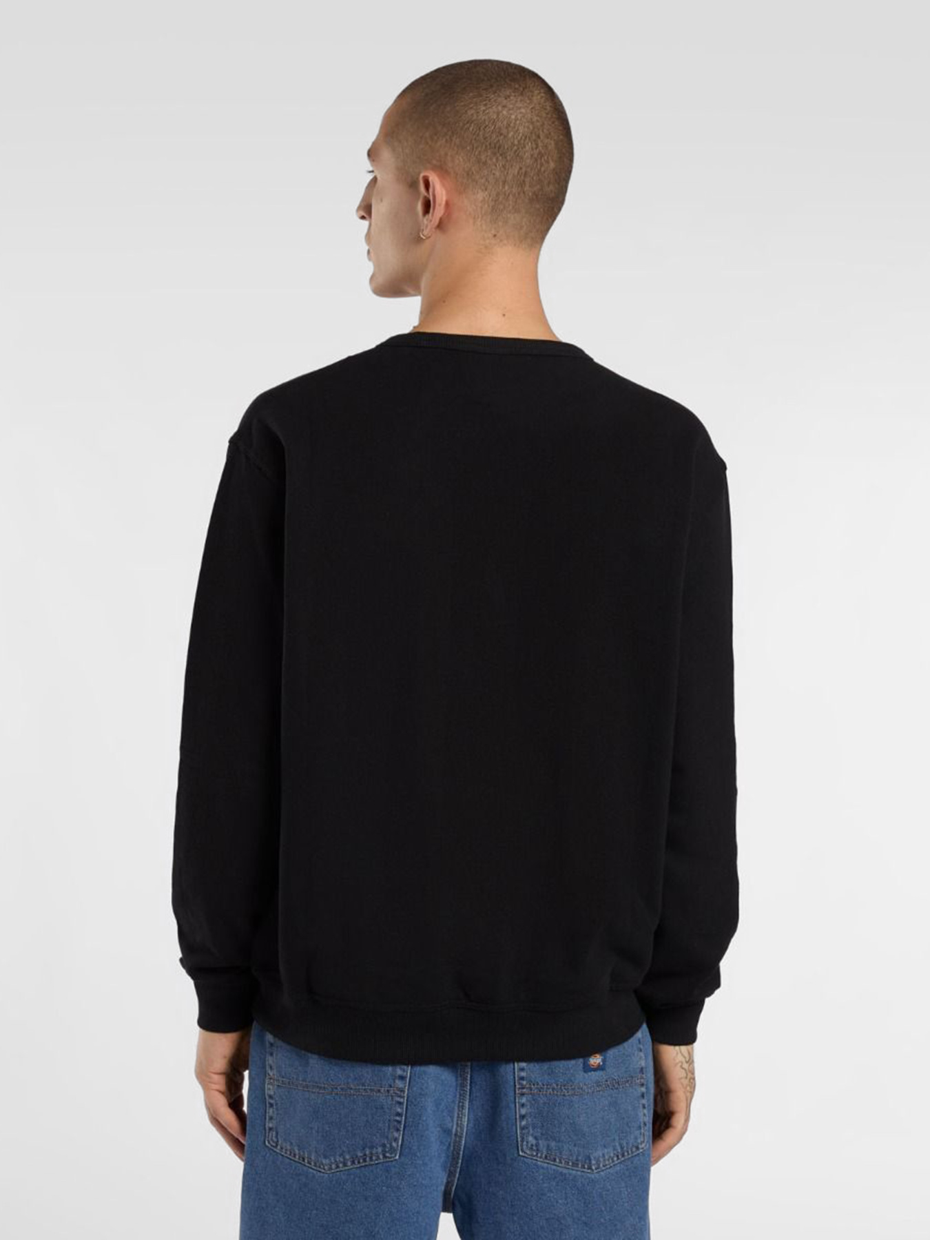 Світшот Dickies Lewistown модель DK0A8682BLK1 Фото