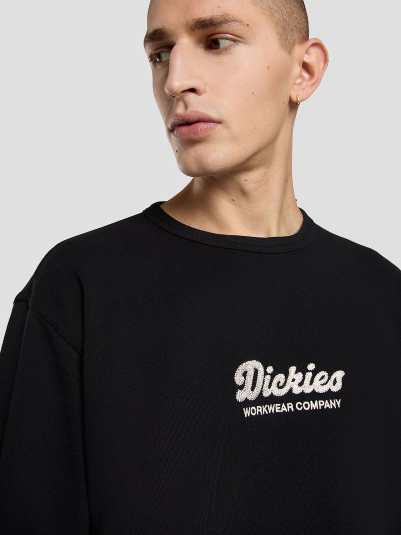 Свитшот Dickies Lewistown модель DK0A8682BLK1 Фото