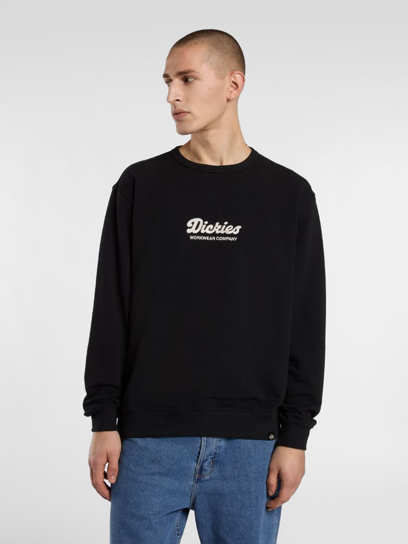Свитшот Dickies Lewistown модель DK0A8682BLK1 Фото