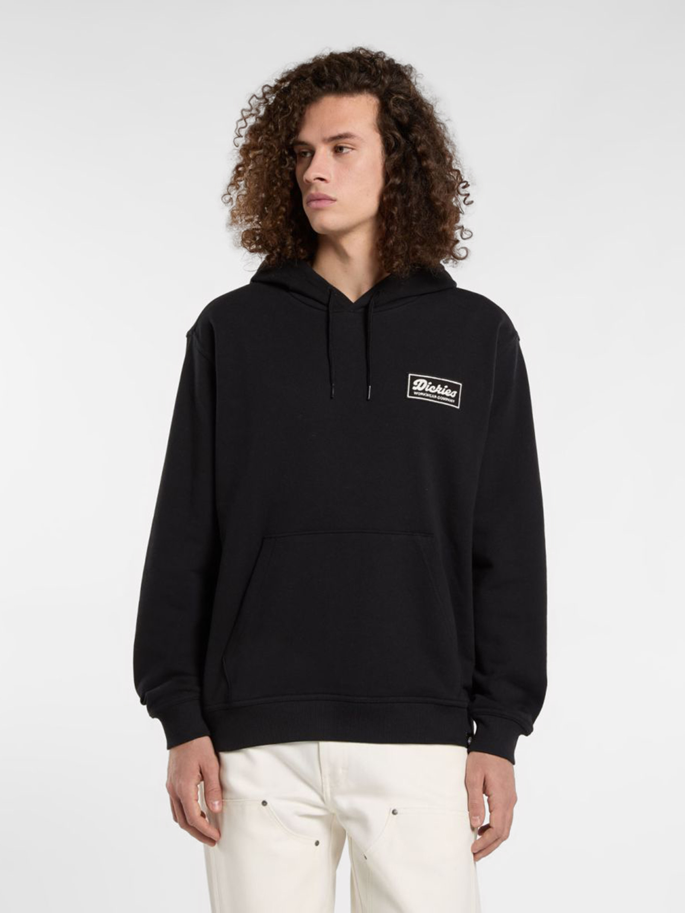 Худи Dickies Lewistown модель DK0A8683BLK1 Худи Dickies Lewistown модель DK0A8683BLK1 Фото