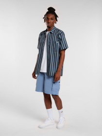 Сорочка повсякденна Dickies Multi Stripe модель DK0A87G3G701 Фото