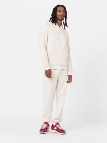 Худи Dickies Oakport модель DK0A4XCDF901 Фото