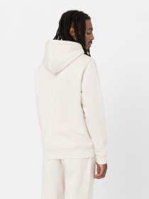 Худи Dickies Oakport модель DK0A4XCDF901 Фото