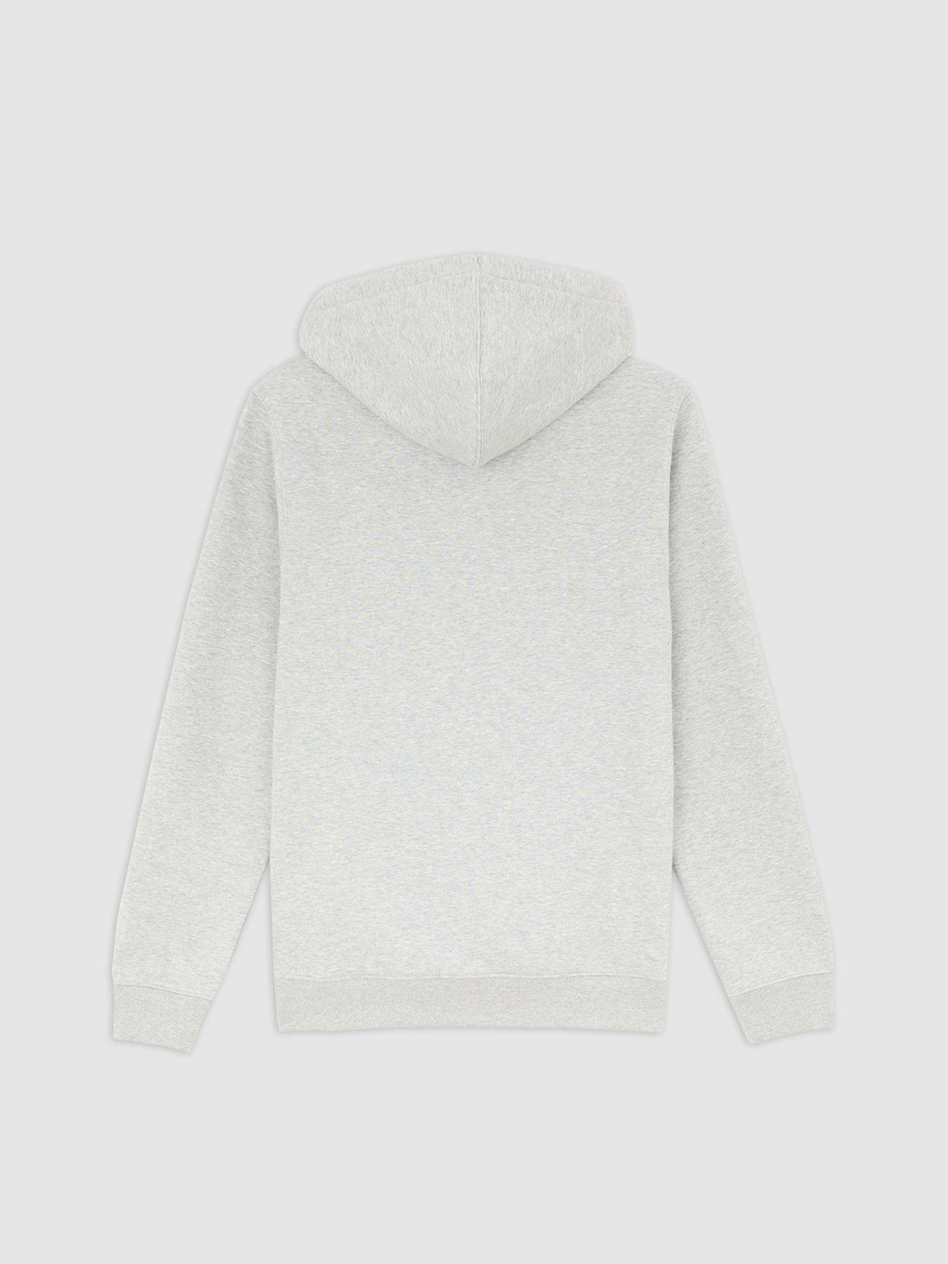 Худі Dickies модель DK0A4XCDHG01 Фото