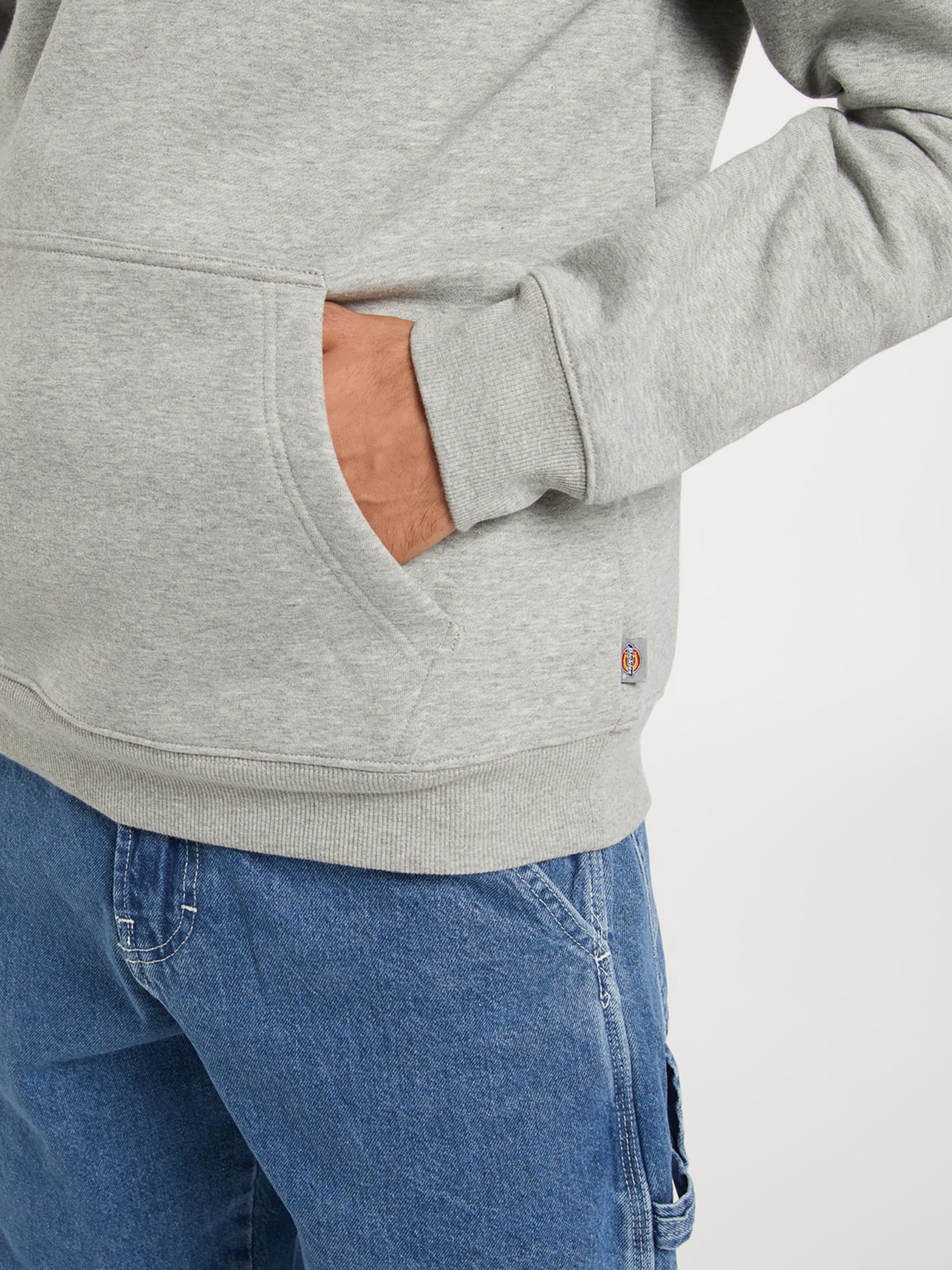 Худі Dickies модель DK0A4XCDHG01 Фото