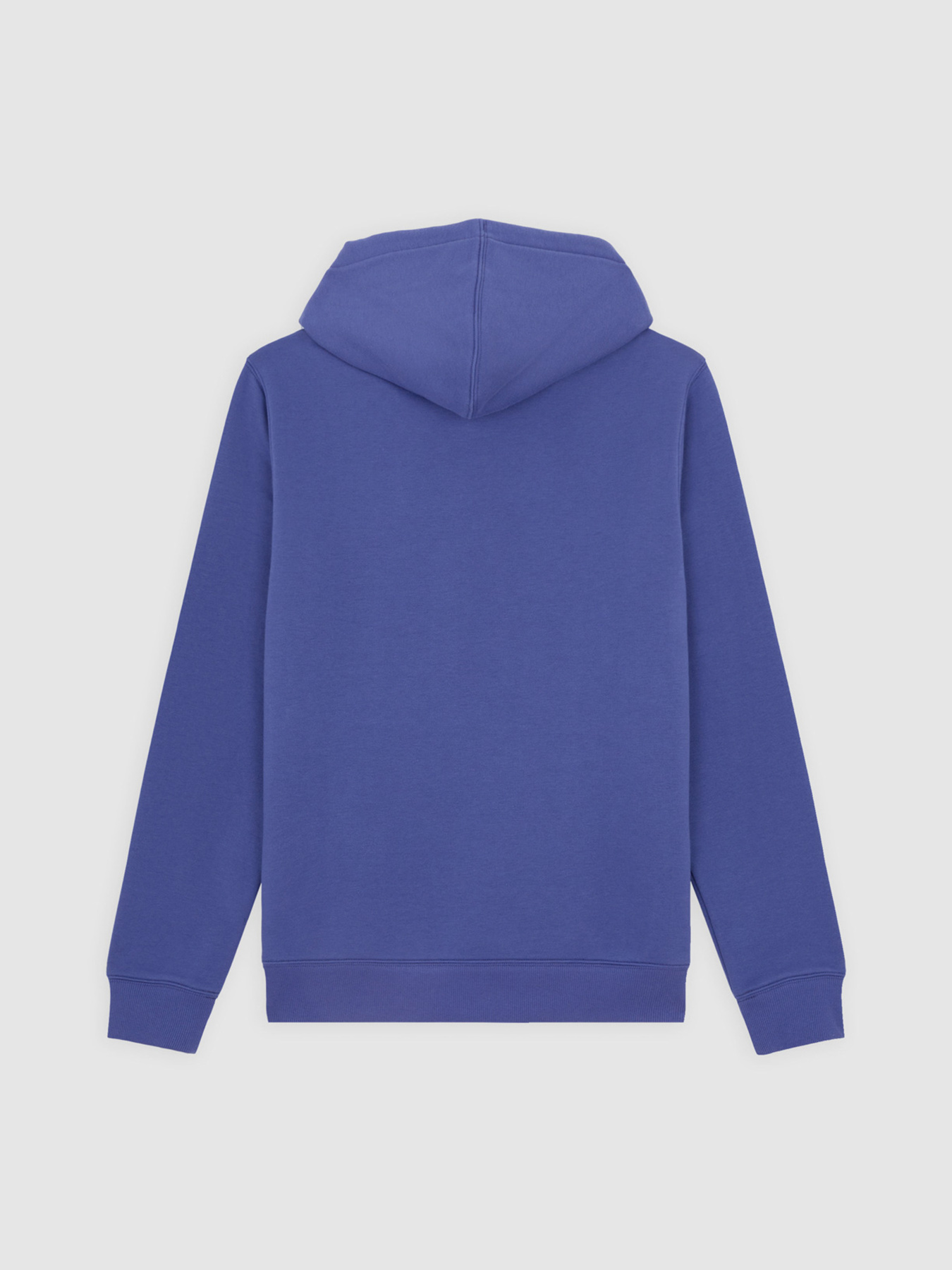 Худі Dickies Oakport модель DK0A4XCDK421 Фото