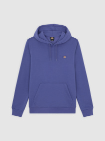 Худі Dickies Oakport модель DK0A4XCDK421 Фото