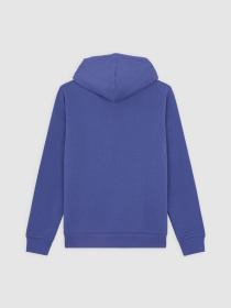 Худі Dickies Oakport модель DK0A4XCDK421 Худі Dickies Oakport модель DK0A4XCDK421 Фото