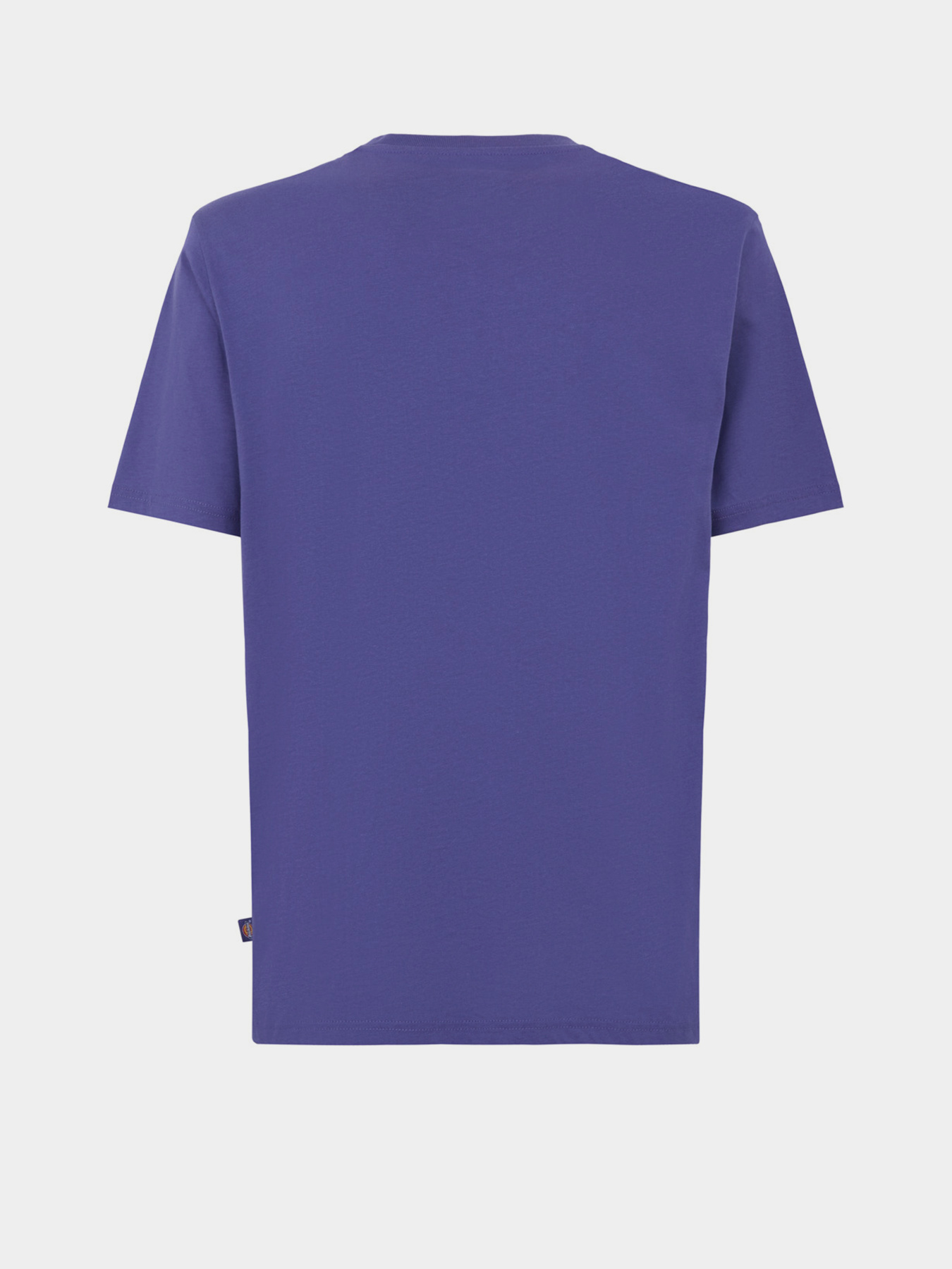 Футболка Dickies Mapleton модель DK0A4XDBK421 Фото