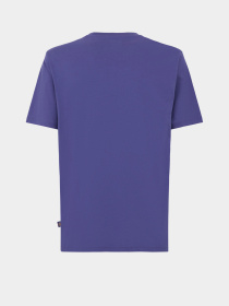 Футболка Dickies Mapleton модель DK0A4XDBK421 Фото