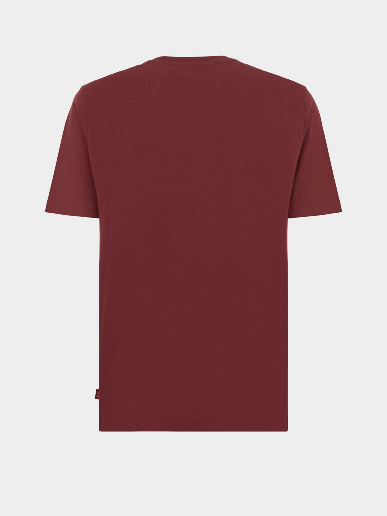 Футболка Dickies Mapleton модель DK0A4XDBL161 Фото