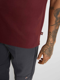 Футболка Dickies Mapleton модель DK0A4XDBL161 Фото