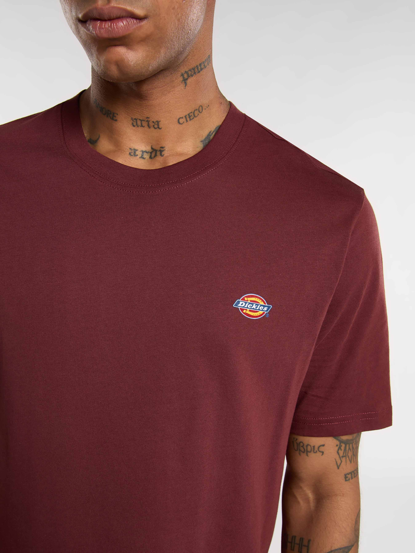 Футболка Dickies Mapleton модель DK0A4XDBL161 Фото