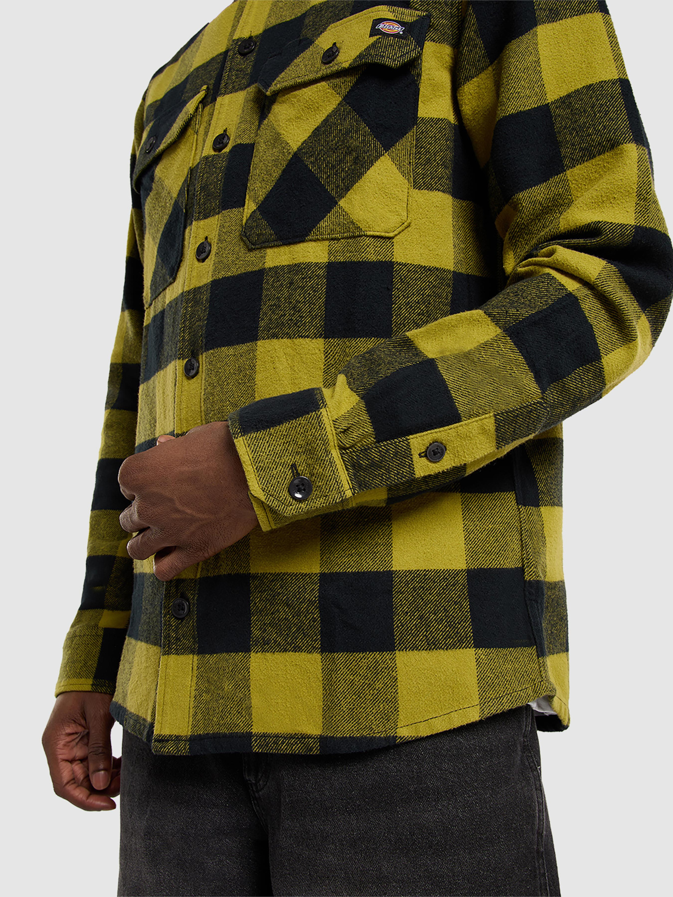 Сорочка в клітинку Dickies Sacramento модель DK0A4XDZL201 Сорочка в клітинку Dickies Sacramento модель DK0A4XDZL201 Фото