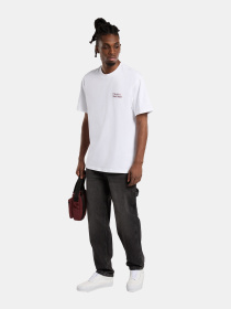 Прямі джинси Dickies Garyville модель DK0A4XECL241 Фото