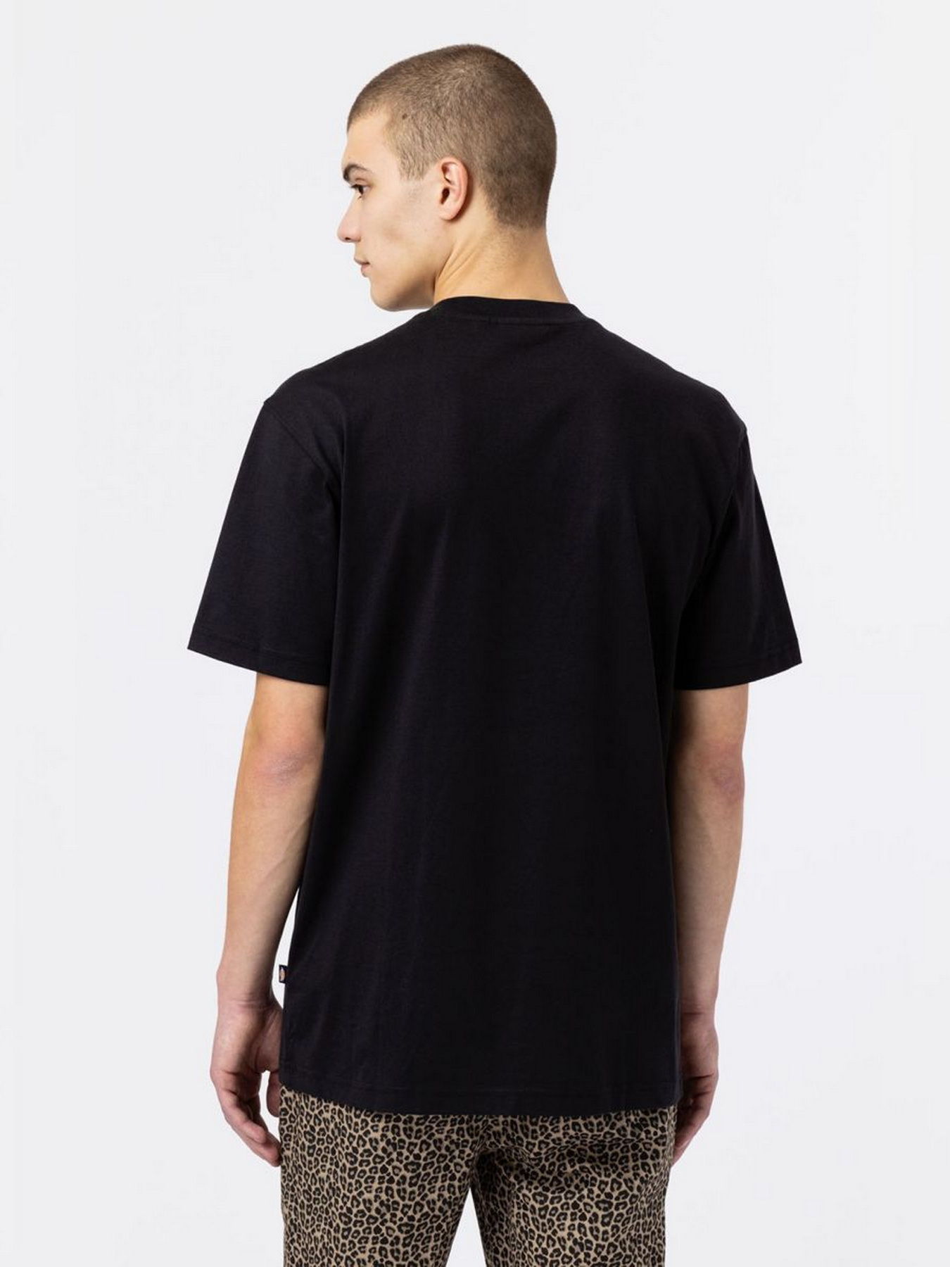 Футболка Dickies Mount Vista Ss модель DK0A4XOUBLK1 Фото