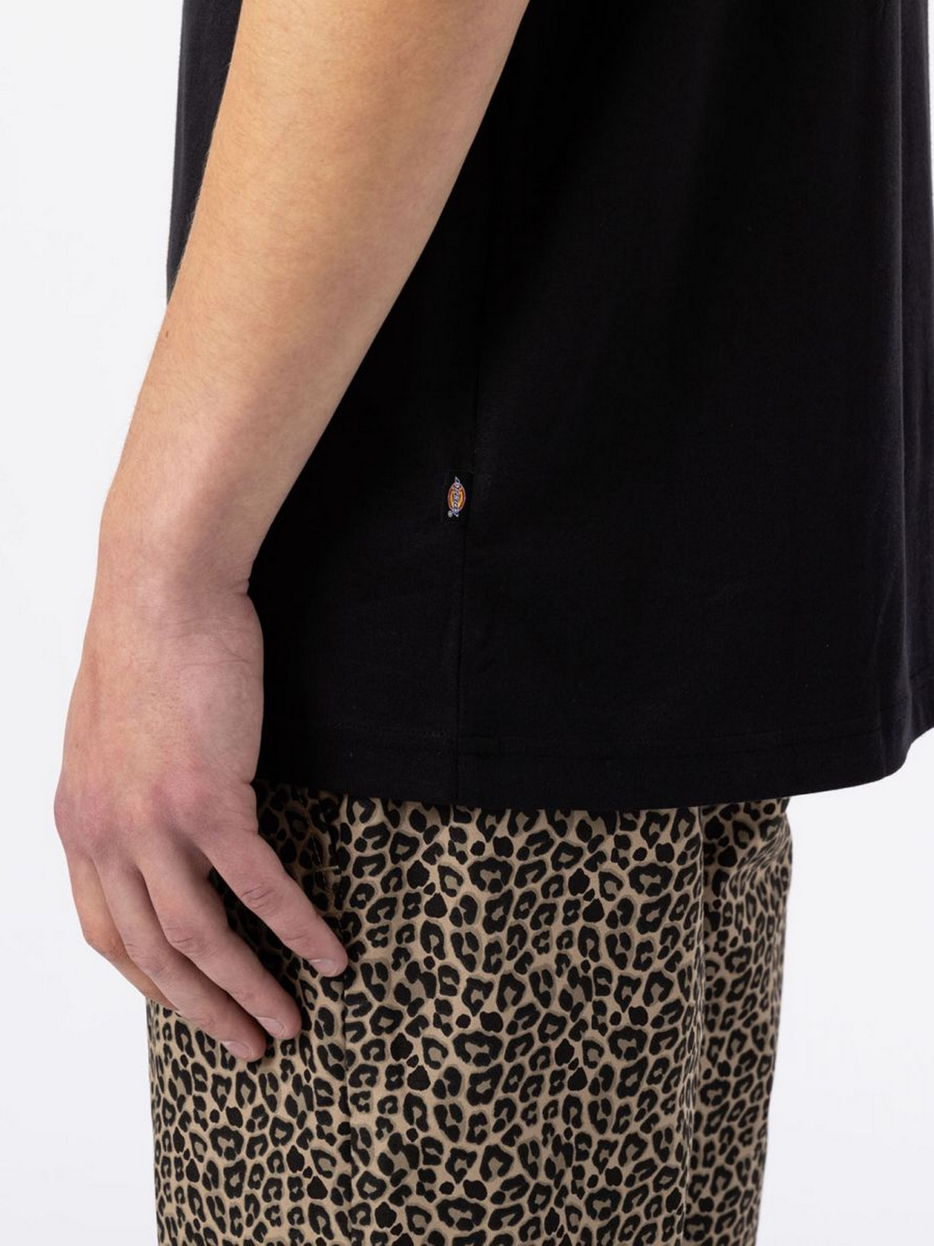 Футболка Dickies Mount Vista Ss модель DK0A4XOUBLK1 Фото