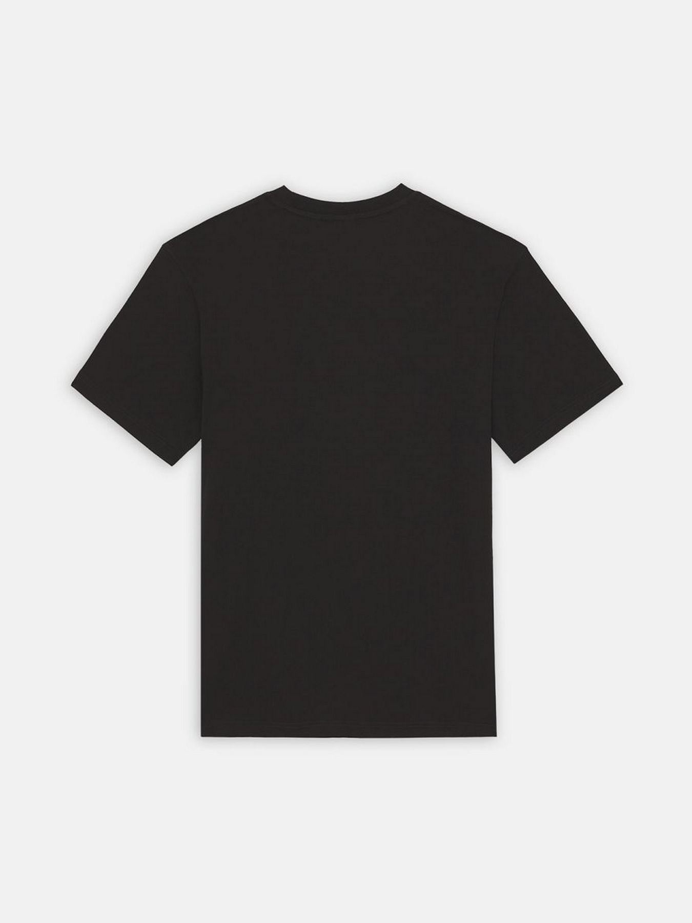 Футболка Dickies Mount Vista Ss модель DK0A4XOUBLK1 Фото