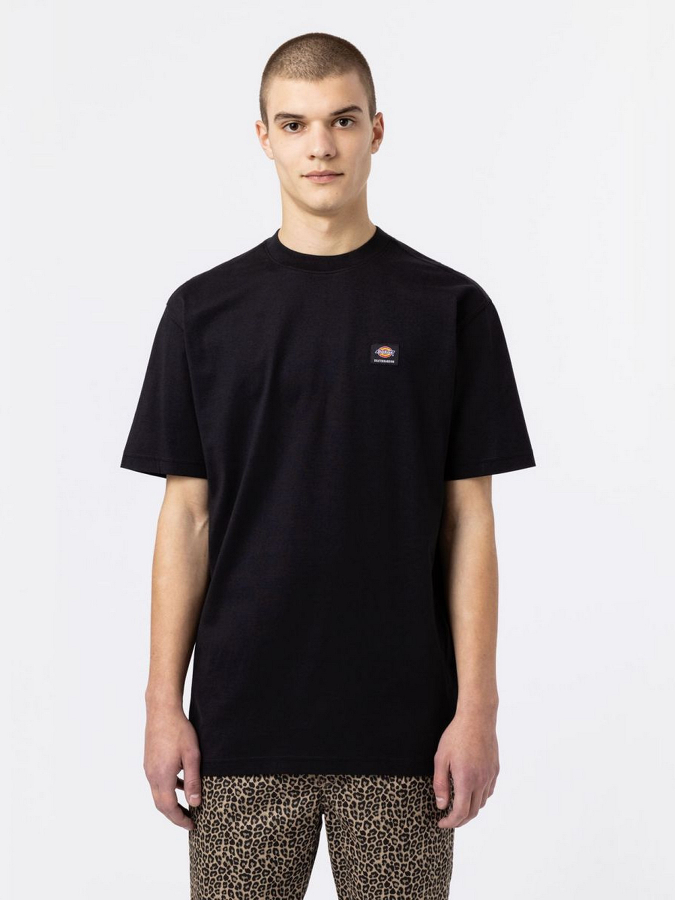 Футболка Dickies Mount Vista Ss модель DK0A4XOUBLK1 Футболка Dickies Mount Vista Ss модель DK0A4XOUBLK1 Фото