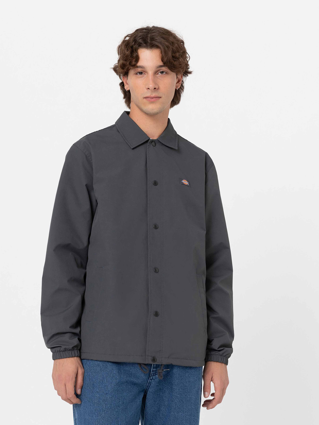 Демісезонна куртка Dickies Oakport Coach модель DK0A4XEWCH01 Фото