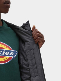 Демісезонна куртка Dickies New Sarpy модель DK0A4XG8CH01 Фото