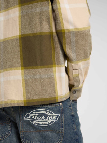 Рубашка Dickies модель DK0A4XGUL171 Фото