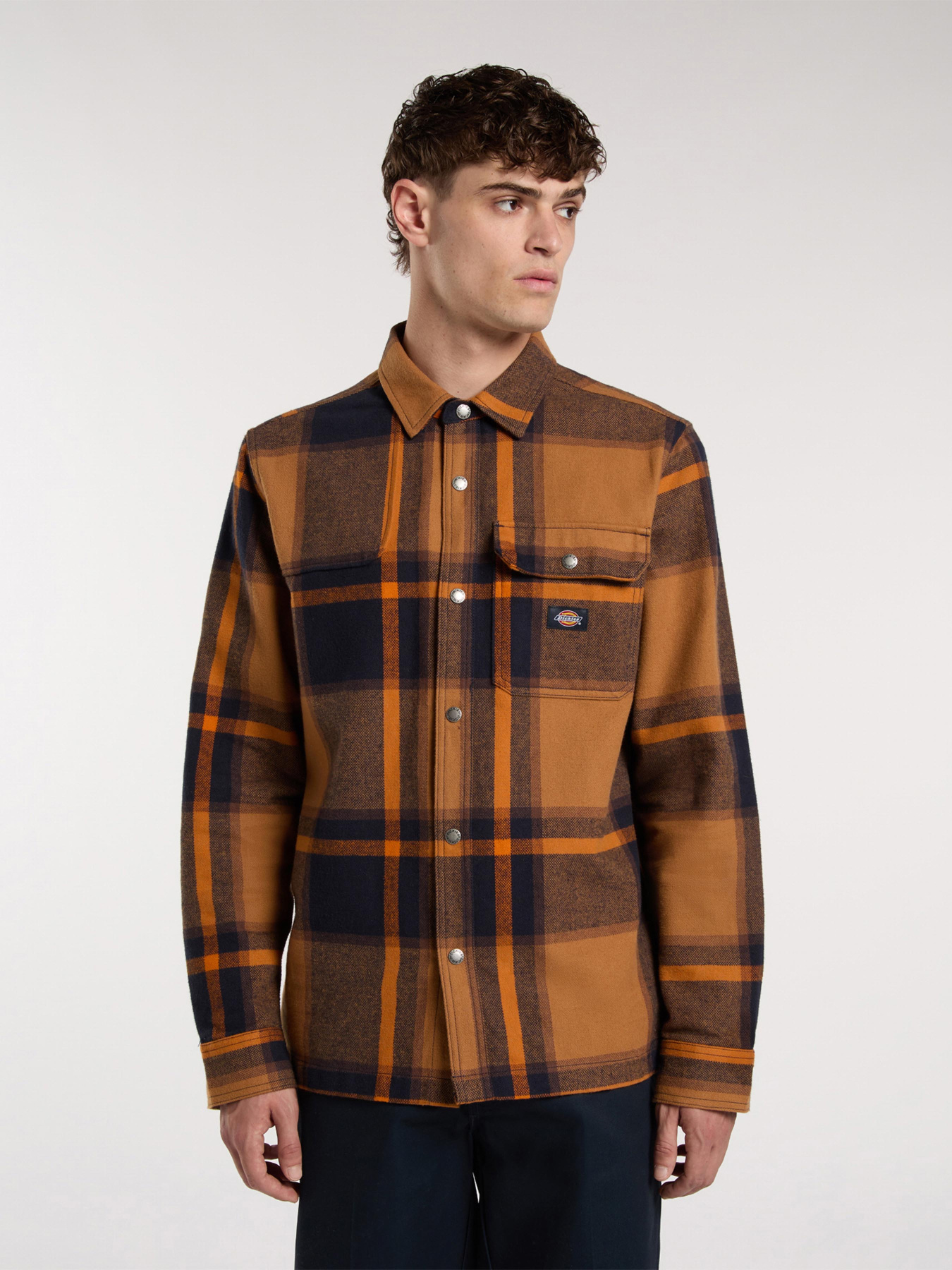 Рубашка Dickies модель DK0A4XGUL181 Фото