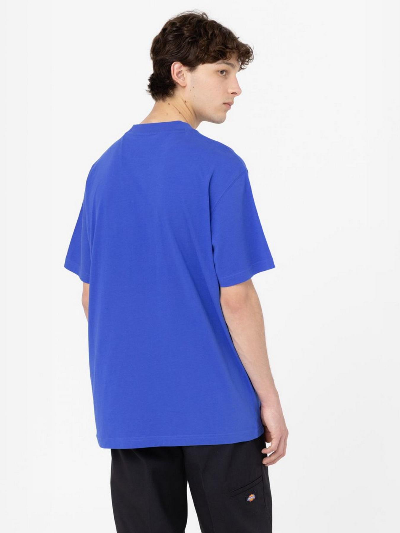 Футболка Dickies Mount Vista Ss модель DK0A4XOUE871 Фото