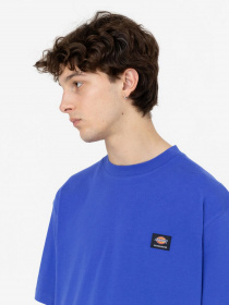 Футболка Dickies Mount Vista Ss модель DK0A4XOUE871 Фото
