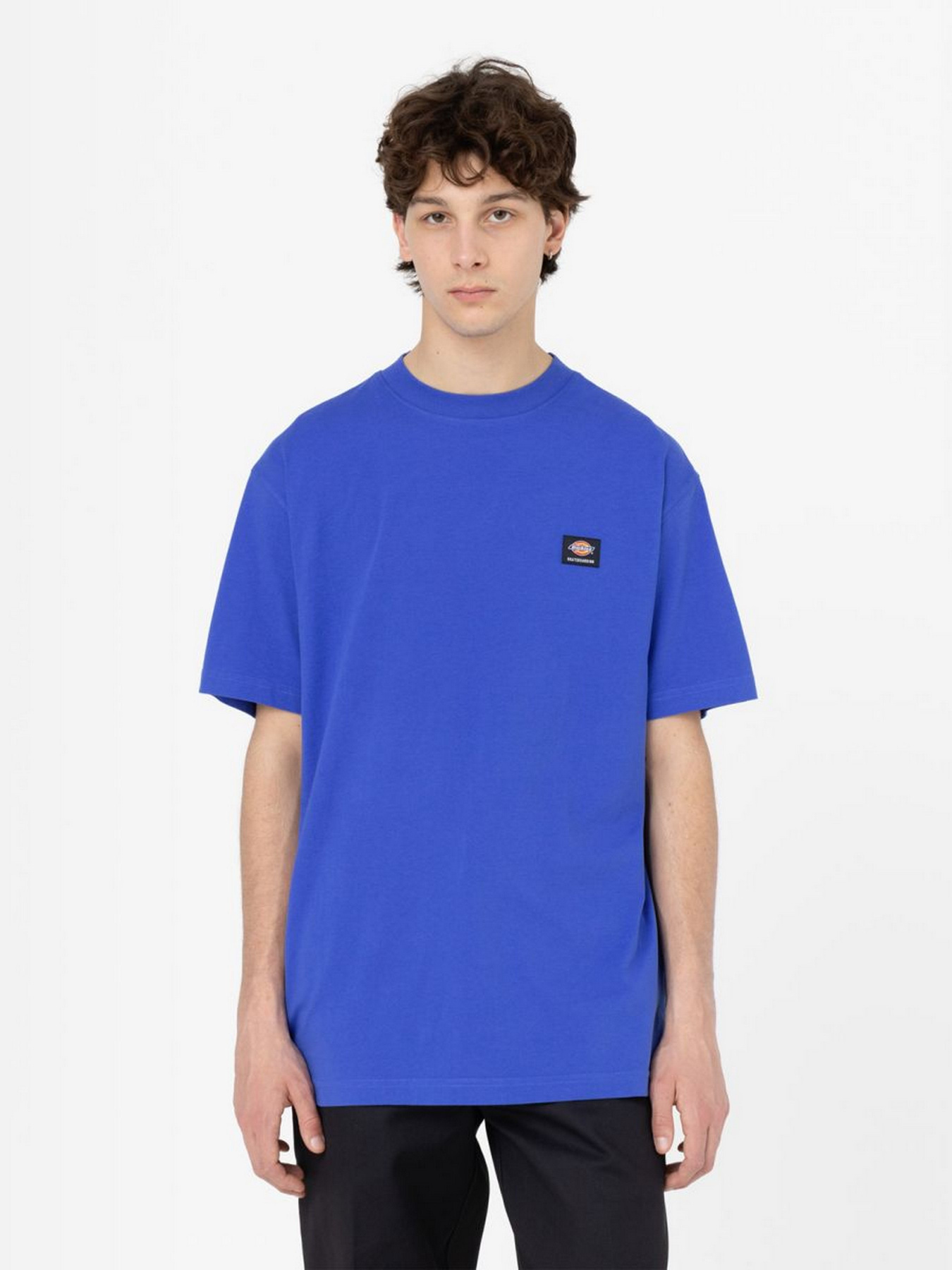 Футболка Dickies Mount Vista Ss модель DK0A4XOUE871 Фото