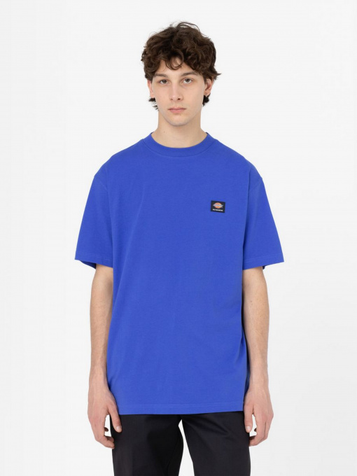 Футболка Dickies Mount Vista Ss модель DK0A4XOUE871 Фото