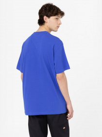 Футболка Dickies Mount Vista Ss модель DK0A4XOUE871 Фото