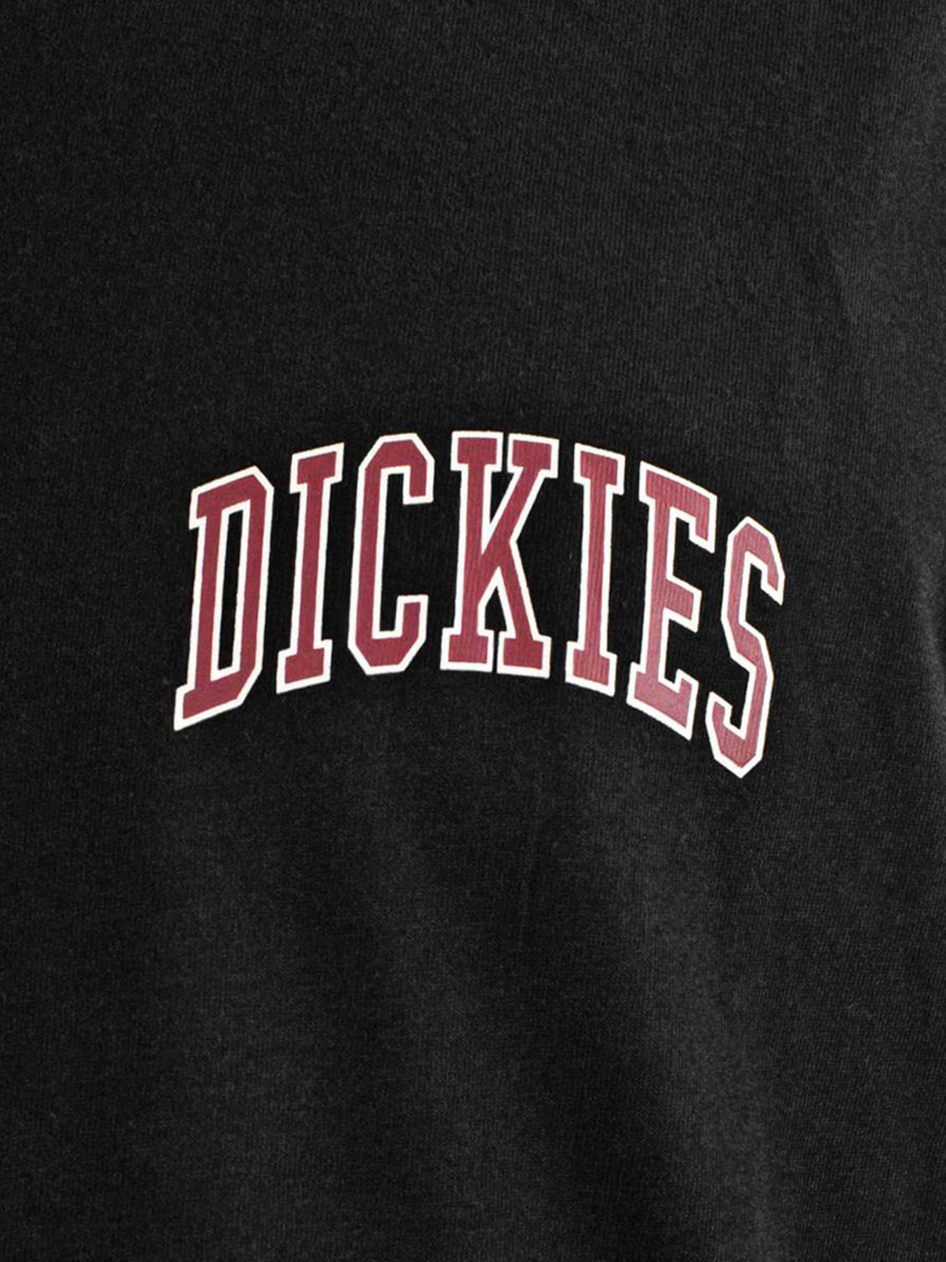 Футболка Dickies Aitkin Chest модель DK0A4Y8OL251 Фото