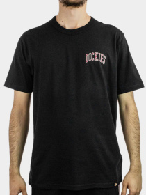 Футболка Dickies Aitkin Chest модель DK0A4Y8OL251 Фото