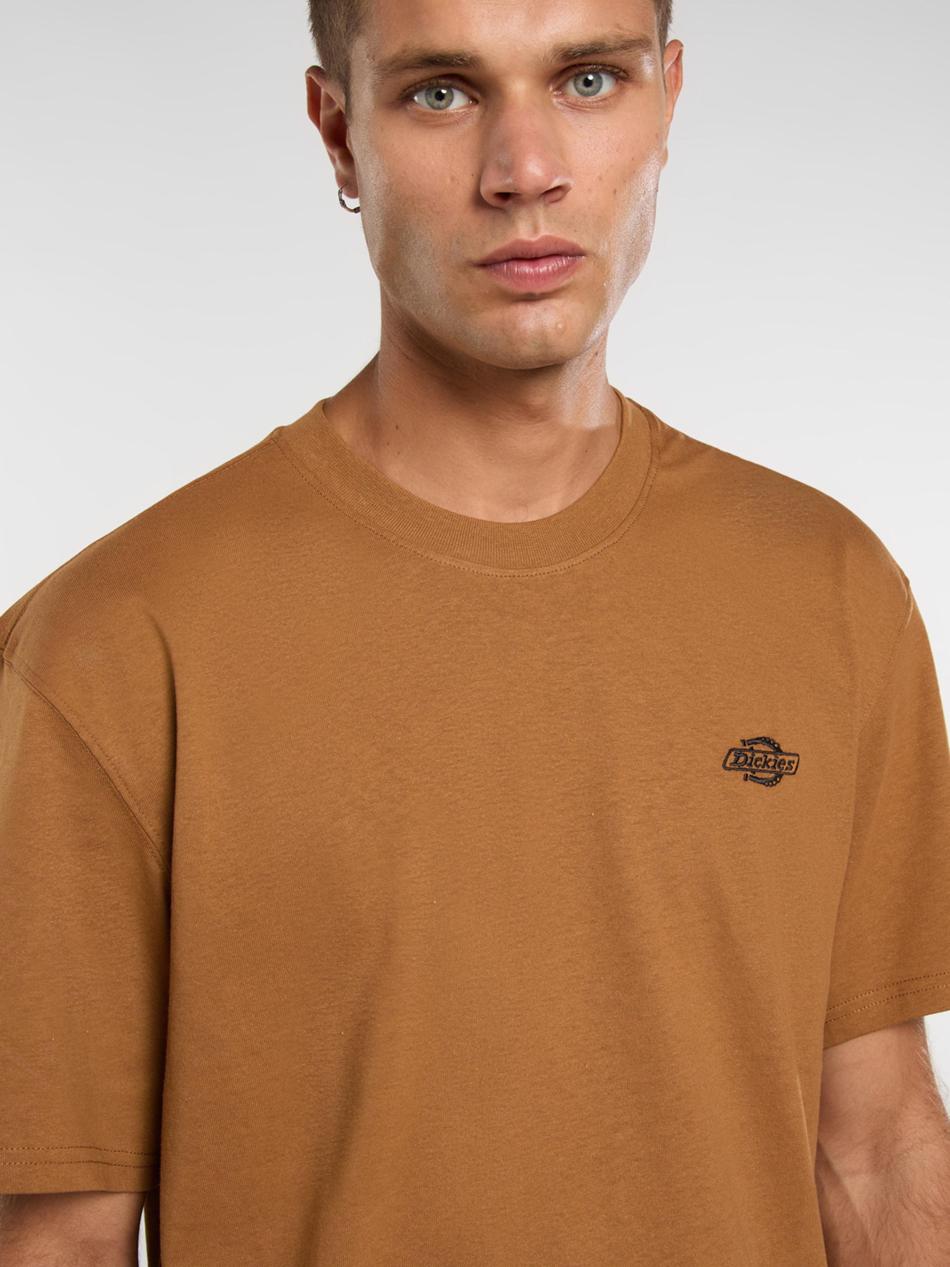 Футболка Dickies Summerdale модель DK0A4YAI0BD1 Фото