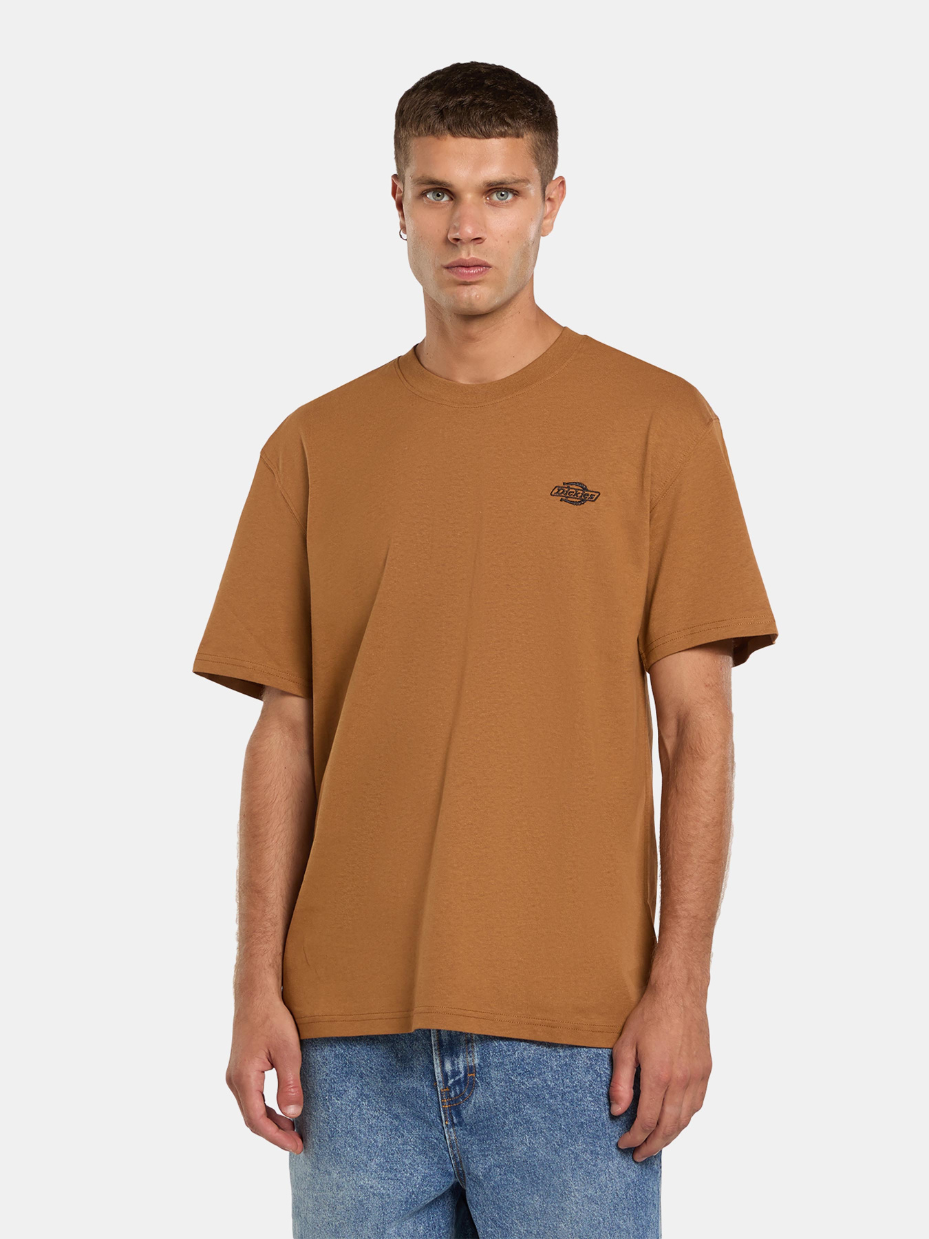 Футболка Dickies Summerdale модель DK0A4YAI0BD1 Фото
