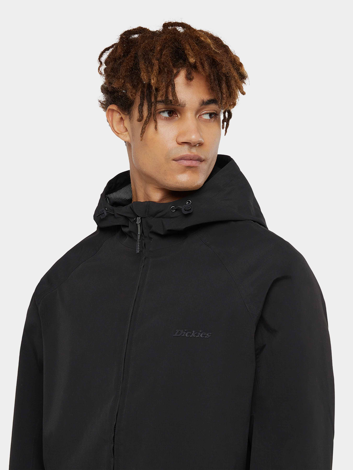 Демисезонная куртка Dickies Ronan Shell модель DK0A4Z3YBLK1 Фото