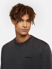 Свитшот Dickies Plentywood модель DK0A864HBLK1 Фото