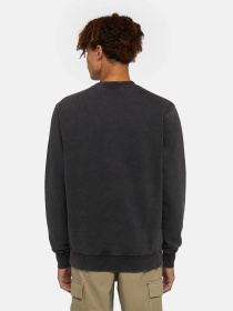 Світшот Dickies Plentywood модель DK0A864HBLK1 Фото