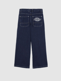 Широкі джинси Dickies Hilham модель DK0A87NK0DD1 Фото