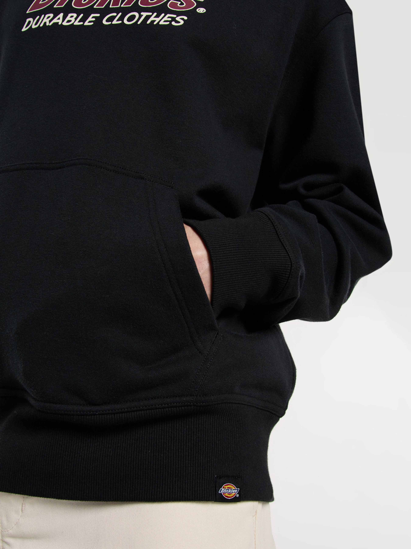 Худі Dickies Williston модель DK0A87NOBLK1 Фото