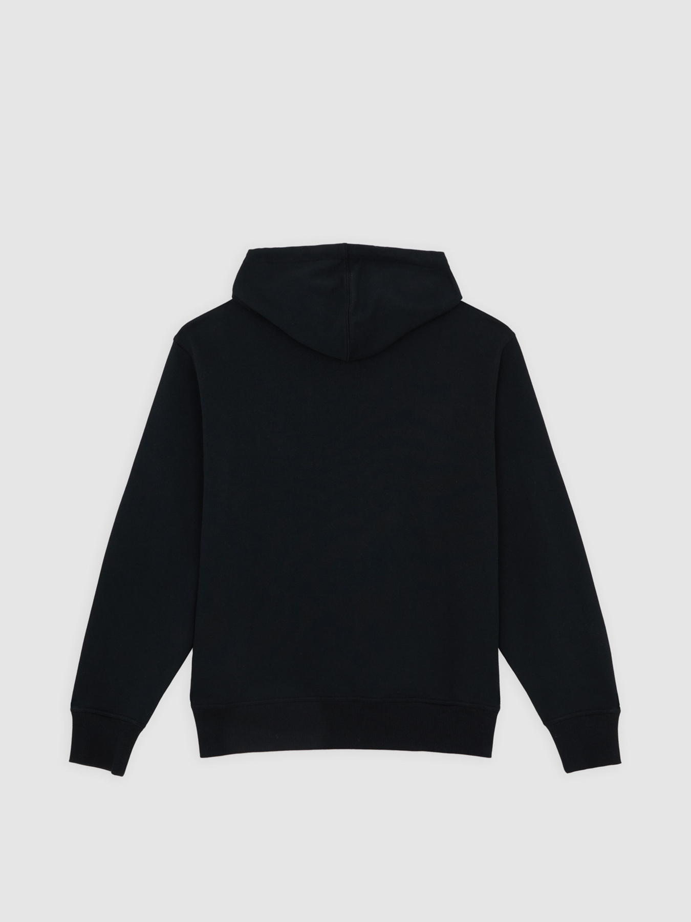 Худі Dickies Williston модель DK0A87NOBLK1 Фото