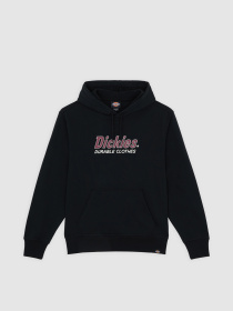 Худі Dickies Williston модель DK0A87NOBLK1 Фото
