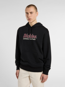 Худи Dickies Williston модель DK0A87NOBLK1 Фото