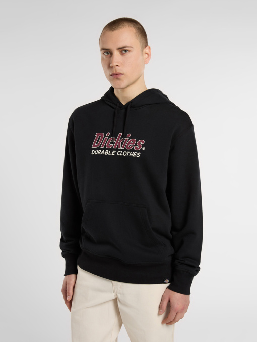 Худи Dickies Williston модель DK0A87NOBLK1 Фото