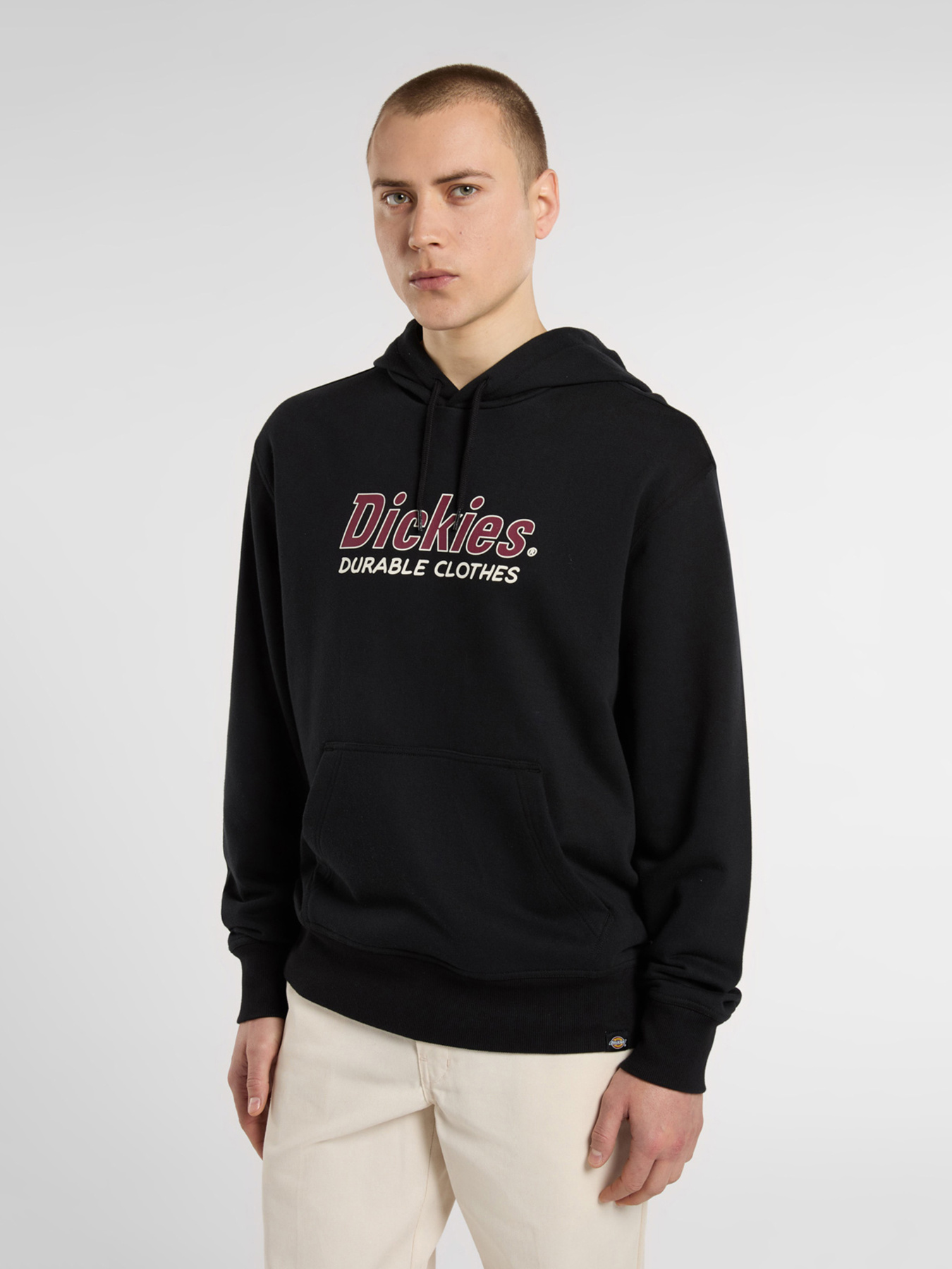 Худі Dickies Williston модель DK0A87NOBLK1 Фото