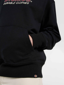 Худі Dickies Williston модель DK0A87NOBLK1 Фото